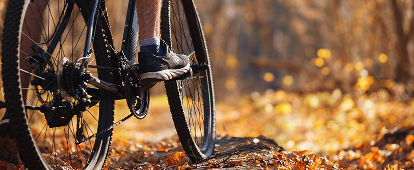 How Can I Maintain a Healthy Lifestyle This Holiday Season?